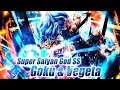 Preview GOKU & VEGETA BLUE LF, FREEZER and Broly | Dragon Ball Legends