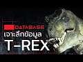 เจาะลึกข้อมูล T-Rex [Jurassic Park/World] ไทแรนโนซอรัส เร็กซ์ จูราสสิคเวิลด์ Database