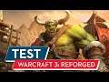WarCraft 3: Reforged Test / Review: Eine echte Enttäuschung!