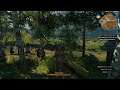 Witcher 3 Wild Hunt - 3 - Mister - RO Stream