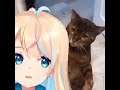 Anime girl gets brutally attacked by IRL cat