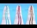 HAIR CHALLENGE π΅π₯- All Levels Gameplay Walkthrough Android, iOS v.2