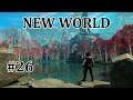 New World - Ein neuer Tag in New World  - #26