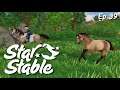 A Runaway Pony | Star Stable Online Ep 39