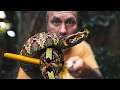 DEADLY VENOMOUS SNAKES OUT AT THE REPTILE ZOO!! | BRIAN BARCZYK