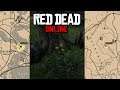 Red Dead Online: Американские дикие цветы - Слива поручейная и Ваточник