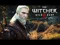 The Witcher 3 Wild Hunt EXTREME Graphics Mod Gameplay With Raytracing! Vampire & Griffin Hunting!