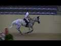 Video of DALOMA ridden by CHARLES STEVENS from ShowNet!