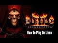 How To Install & Play Diablo II: Resurrected on Linux – Battle.net - Lutris Method