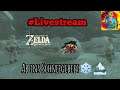 Livestream Zelda BotW MM. Ruhe nach dem Sturm. :D
