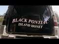 Black Pontiac – Island Honey (visualizer)