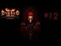 Diablo II: Resurrected - Act IV - Necromancer - Walkthrough Gameplay 12
