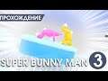 НАКЛОНИСЬ, Я ВОЗЬМУ ТЕБЯ СЗАДИ ► Super Bunny Man #3