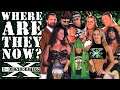 What Happened To EVERY Member Of D-Generation X?