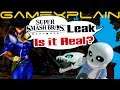 Is the Smash Ultimate Mii Costume Leak Real? And Does It Hint at Future DLC Characters? - Discussion