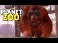 O santuário dos primatas! | Planet Zoo #02 - Carreira Gameplay PT-BR