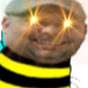 Bee God