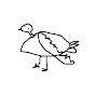 Bird mcrandom