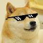 Mr MLG Doge
