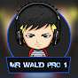 Mr Walid Pro 1