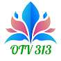 OTV 313