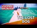 The Lost Dog | PC Gameplay %