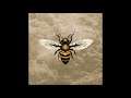 Bees Made Honey in the Vein Tree - Medicine (Full Album 2017)
