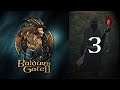 Stream Play - Baldur's Gate II: Enhanced Edition - 01 Here We Go Again (Part 3 of 3)