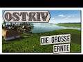 #5 | Ostriv | Alpha 2.4 | Die große Ernte | Mehrere Bauprojekte