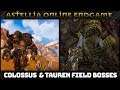 Astellia Online MMORPG - Endgame Content #3: Colossus & Tauren Field Bosses (1080p)