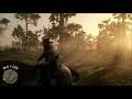 Let's Play Red Dead Redemption 2 Part 089: The Legendary Shoving Bandit