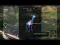 scubby playing hunter call of the wild