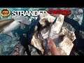 Dangerous Clay Mining | Stranded Deep Gameplay | EP11