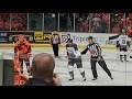 Manchester storm player sent off from Sheffield steelers match 30/10/19