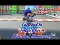 Mario Kart Tour Cat Toad in Tokyo Blur 4 (Cat Toad Showcase)