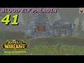 Let's Play WoW - The Burning Crusade Classic - Blood Elf Paladin - Part 41 - Gameplay Walkthrough