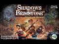 Shadows of Brimstone - Is This Game the Greatest Dungeon crawler Ever? It just might be!