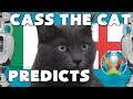 CASS THE CAT - EURO 2020 FINAL PREDICTION - ITALY VS ENGLAND