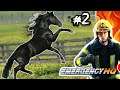 EMERGENCY HQ #2 - Un Cavallo Impazzito!