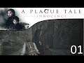 A Plague Tale: Innocence 🐀🐁 01 Das Erbe der De Runes [gameplay deutsch]