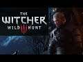 How to Enable/Disable Controller Vibration The Witcher 3 Wild Hunt