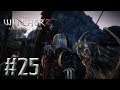 The Witcher 2 #25 - O cerco a Vergen