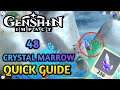 48 Crystal marrow location [Quick Guide] - Genshin Impact 2.0