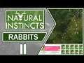 RABBITS - Natural Instincts | Overview, Gameplay & Impressions II (2021)