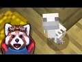 COMBIN CELE MAI CIUDATE GAINI DIN MINECRAFT! Gaina Schelet?!