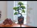 How to sculpt Bonsai Tree (time lapse) - Clay - Fachtonsam