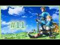 The legend of Zelda Breath of the wild [EXPERT] | Let's play FR | #11 part 1