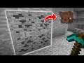 Xray Hacking.. But Only Mining Coal To Troll My Staff