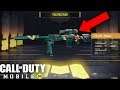 Call of Duty Mobile - UNLOCKING LEGENDARY DL Q33 HOLIDAYS SKIN!