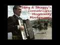 Consolevania Series 05 Episode 12 - Sting & Shaggy's consolevania Hogmanay Hootenanny